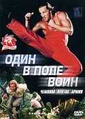 Один в поле воин (1994) постер